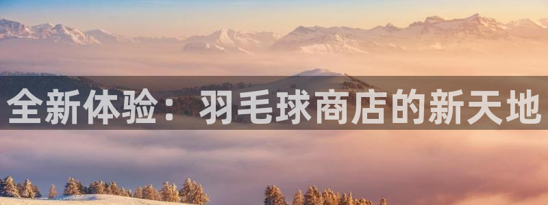 速播体育网