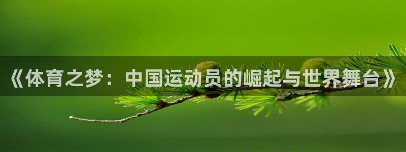 关键词