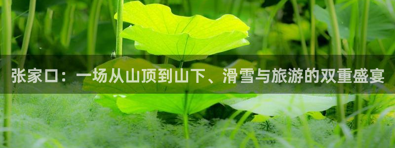 速播体育直播
