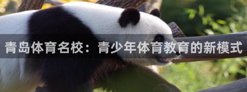 速播体育