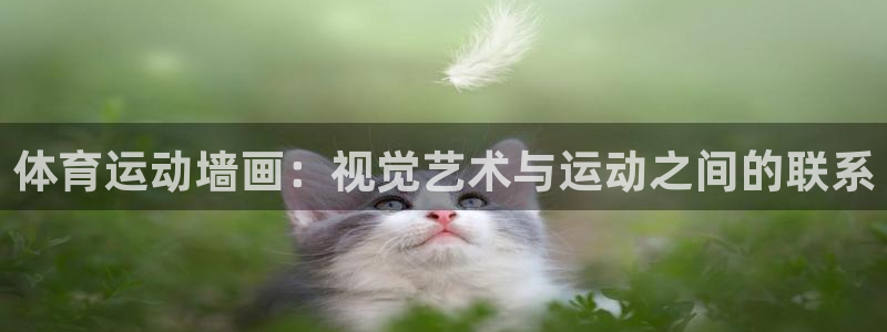 关键词
