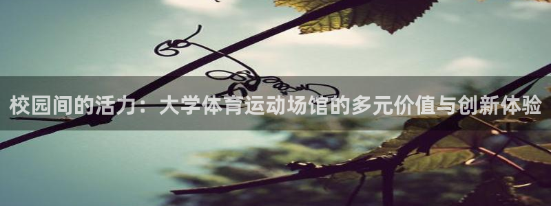 关键词：校园间的活力：大学体育运动场馆的多元价值与创新体验