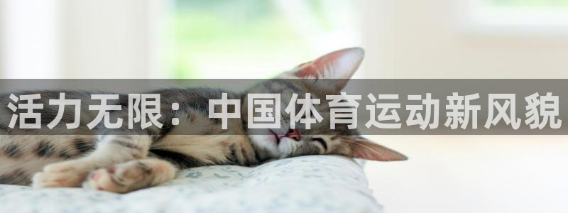 速播体育网：活力无限：中国体育运动新风貌
